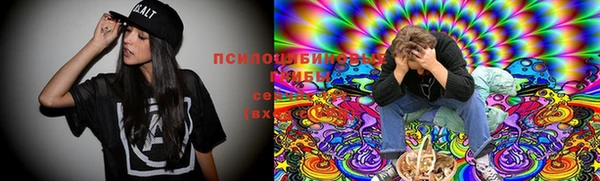 стафф Беломорск