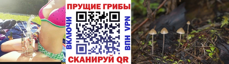 Галлюциногенные грибы MAGIC MUSHROOMS  Цимлянск 